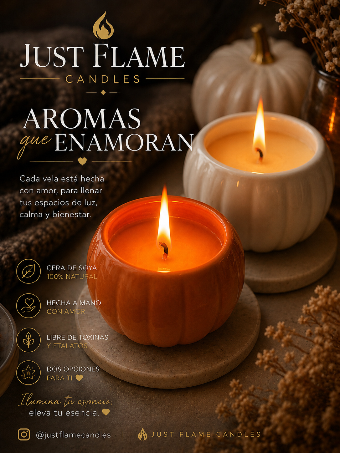 Fall Collection